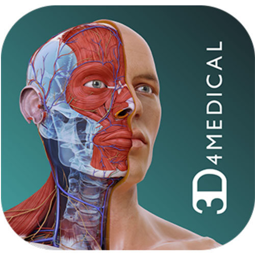 Complete Anatomy 2019 3D 4 Medical
