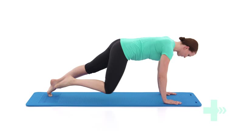 plank knee to chest